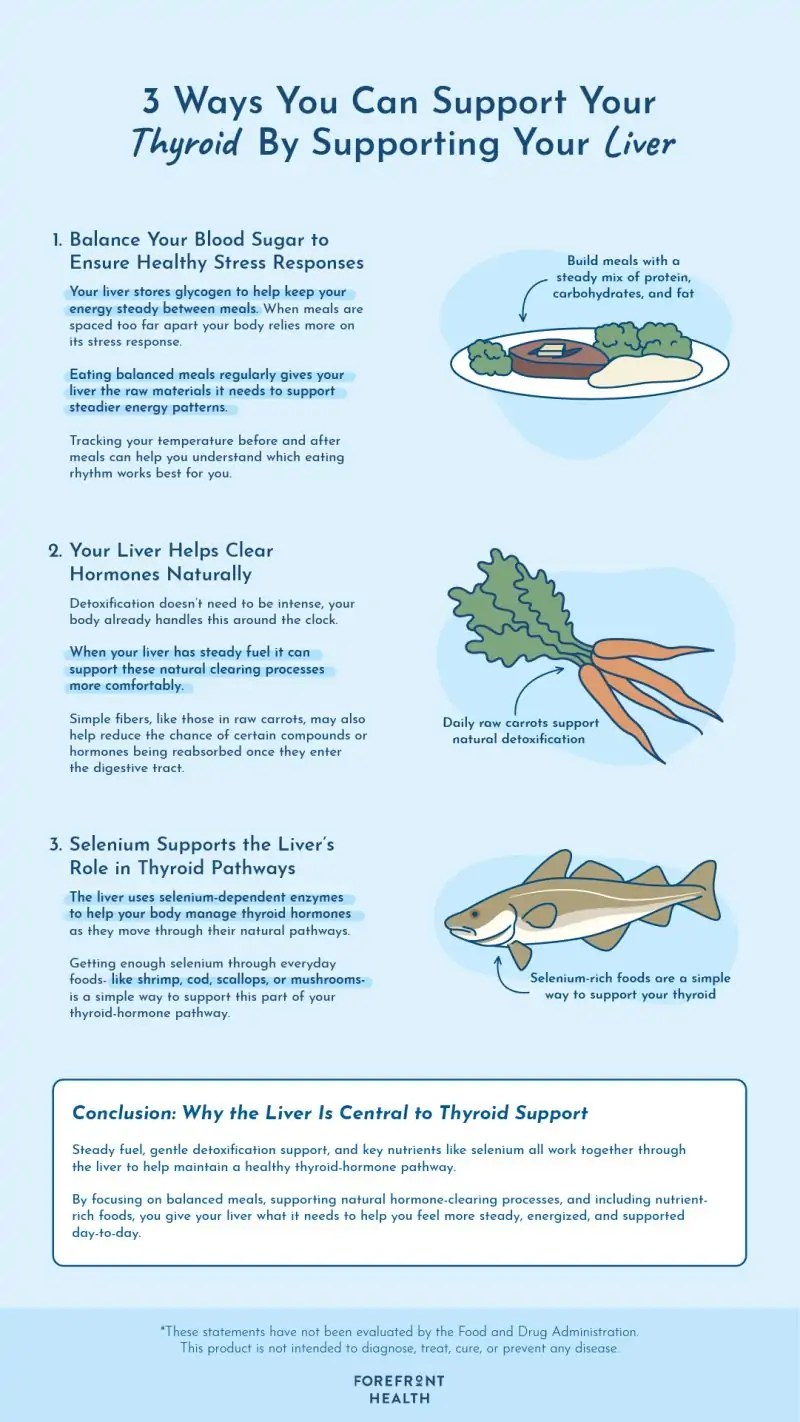 3 steps to support your thyroid by supporting your liver