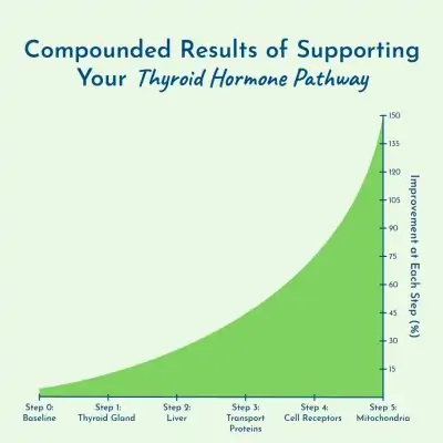 compounded results of thyroid hormone pathway