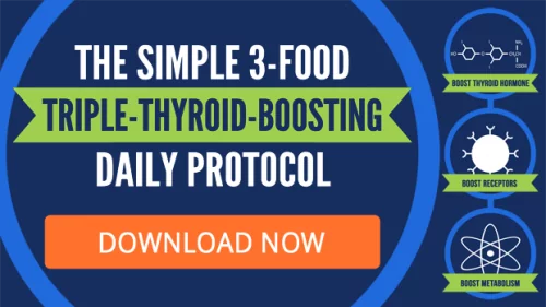 3-Food-Triple-Thyroid-Boosting Daily Protocol