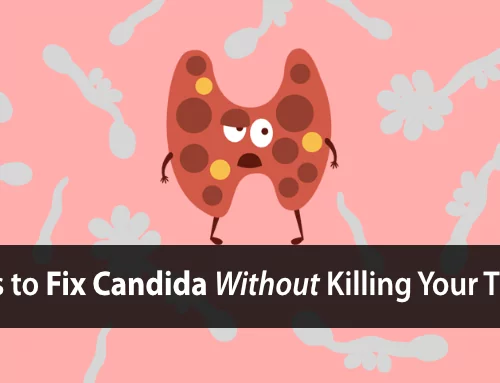 Why Candida-Diets Kill Your Thyroid (and Make Your Candida Worse)