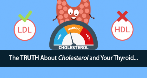 hypothyroidism and cholesterol