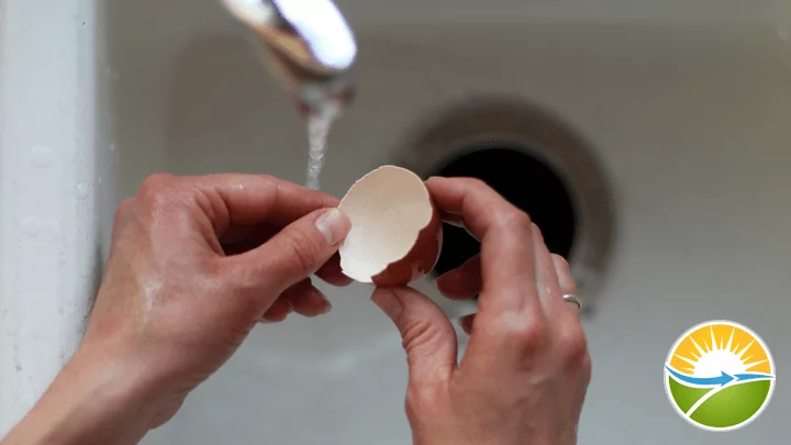 eggshell-calcium-step2