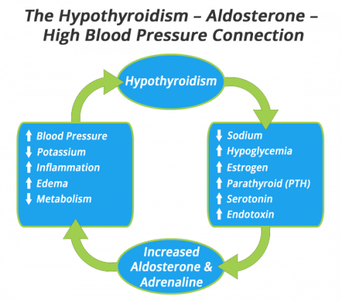 hypothyroidism-high-blood-pressure-connection