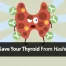 hashimoto's thyroiditis