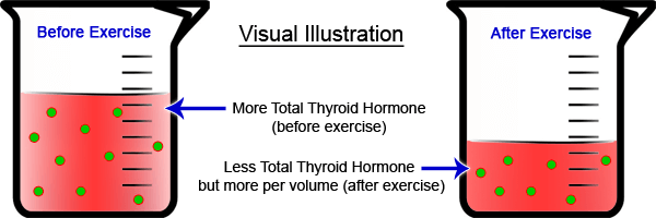 thyroid-exercise-myth-blood-sample