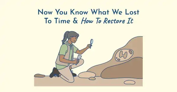 support your thyroid naturally like your ancestors