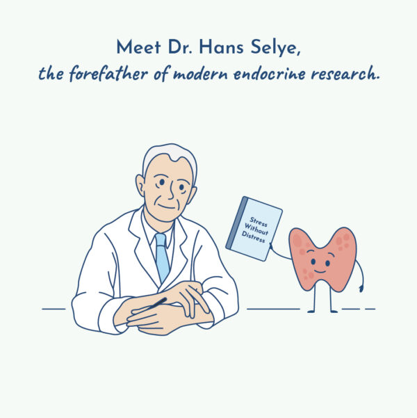 Illustration of endocrine researcher Dr. Hans Selye