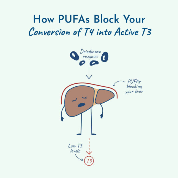 Graphic of how PUFAs block your liver