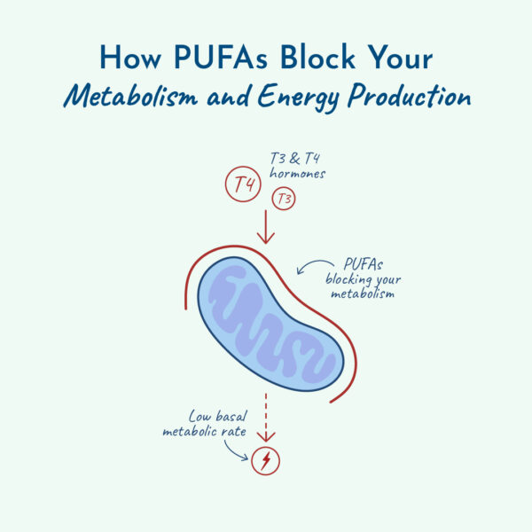 Graphic of how PUFAs block your metabolism