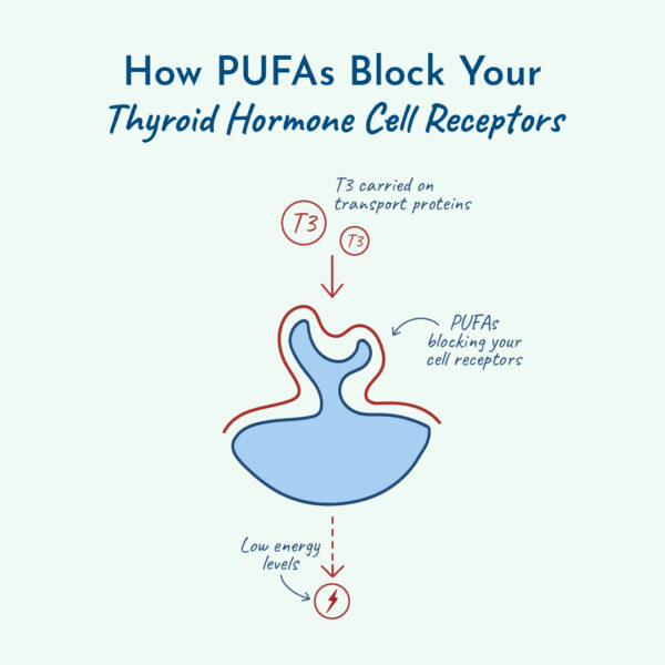 Graphic of how PUFAs block thyroid cell receptors