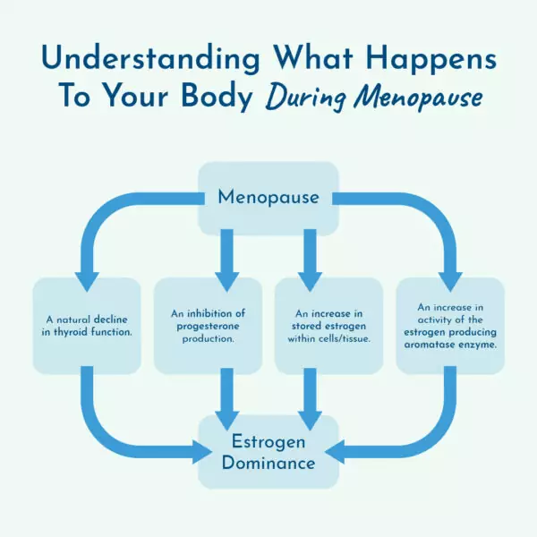 Graphic of what happens to body during menopause