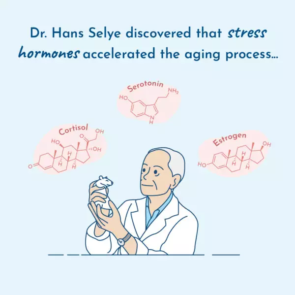 Illustration of endocrine researcher Dr. Hans Selye