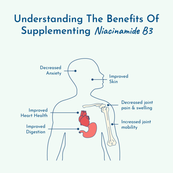 Graphic of the benefits of vitamin B3