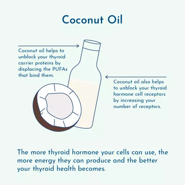Thyroid benefits of coconut oil