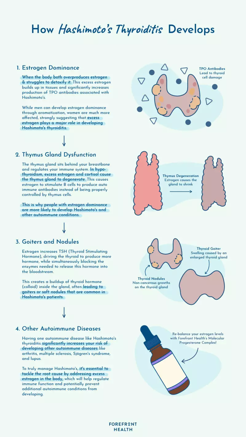 How hashimoto’s thyroiditis develops