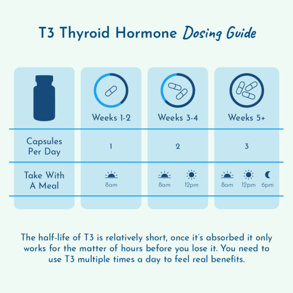 Graphic showing how to dose thyroid hormone