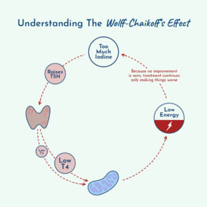 Graphic showing the Wolff-Chaikoff’s effect