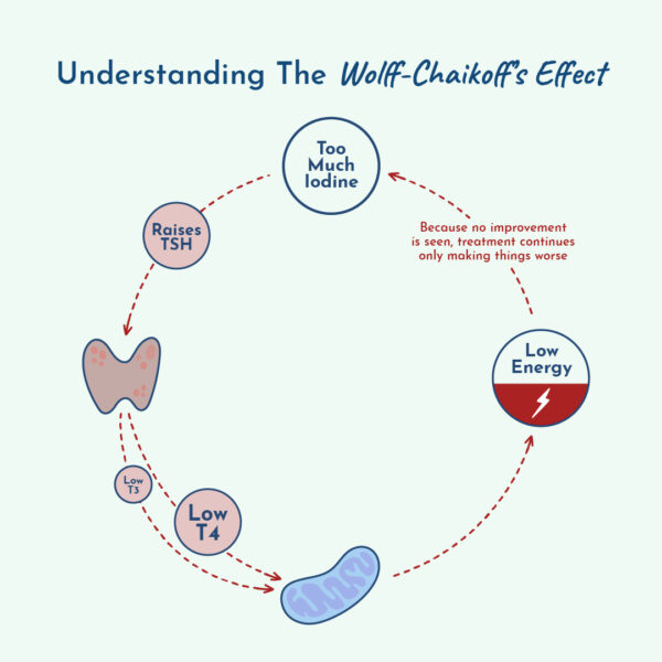 Graphic showing the Wolff-Chaikoff’s effect