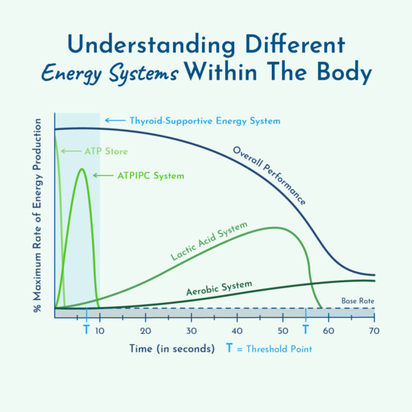 Thyroid-supportive energy system