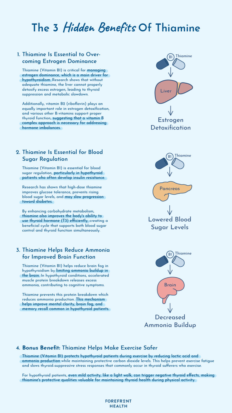 Infographic showing the thyroid benefits of thiamine