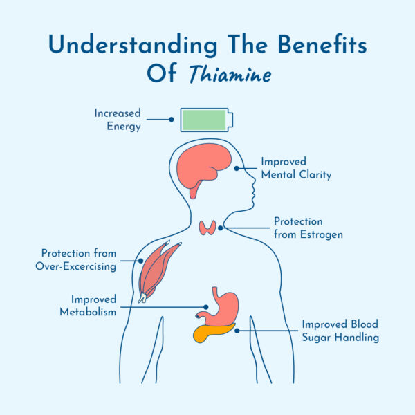 Graphic showing benefits of thiamine