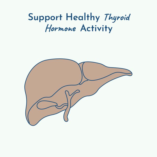 Support thyroid health through your liver