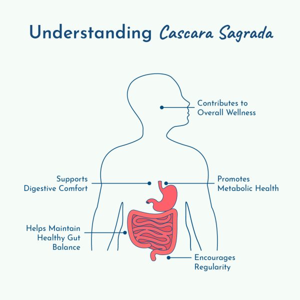 How cascara sagrada helps support digestion