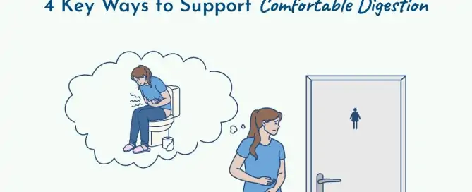 thyroid digestive support