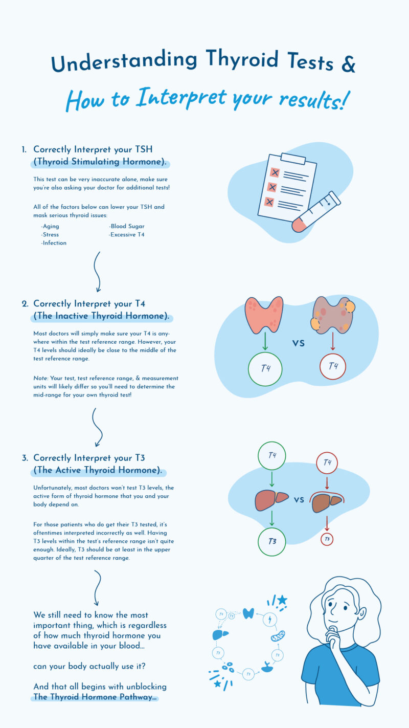 Infographic illustrating how to understand thyroid test results.