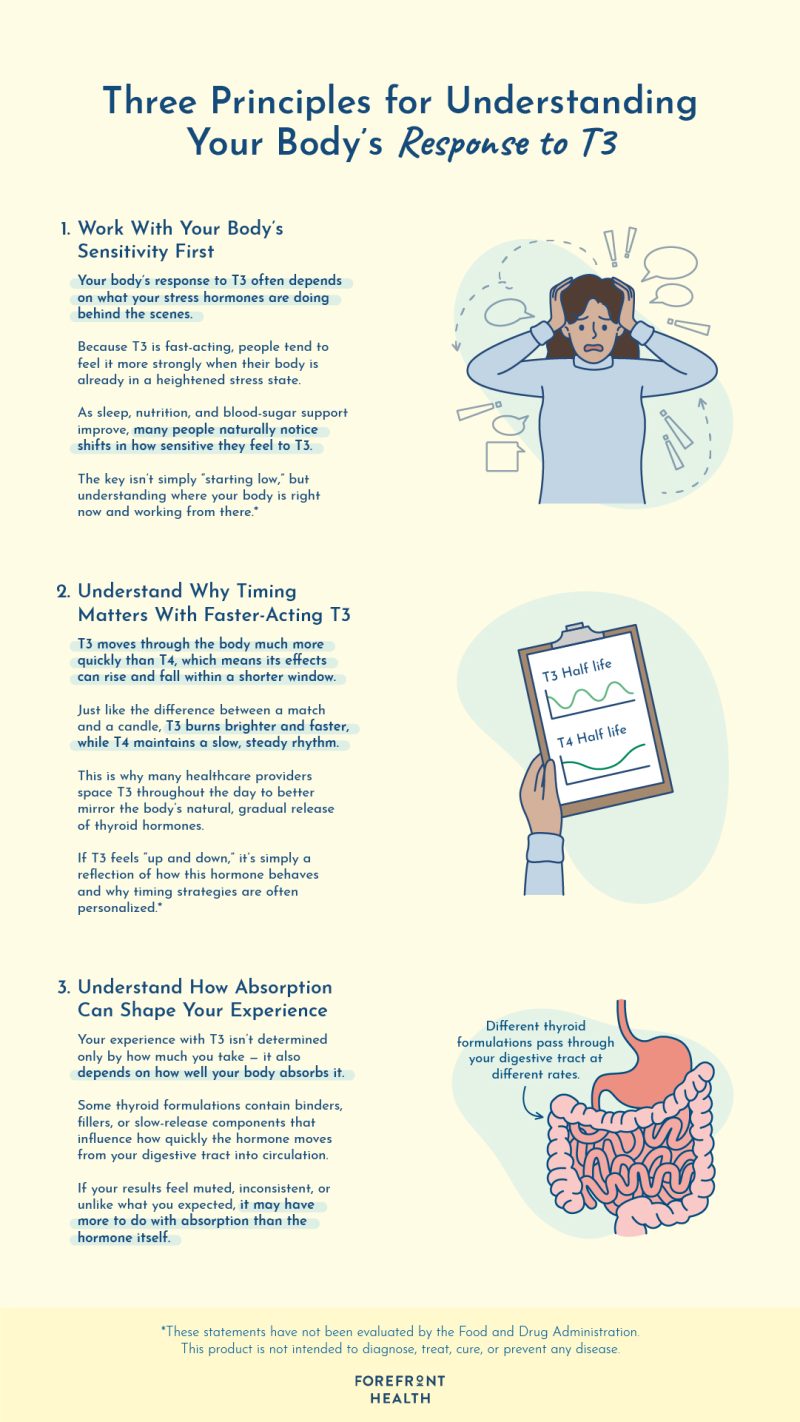 T3 medication explained in three principles