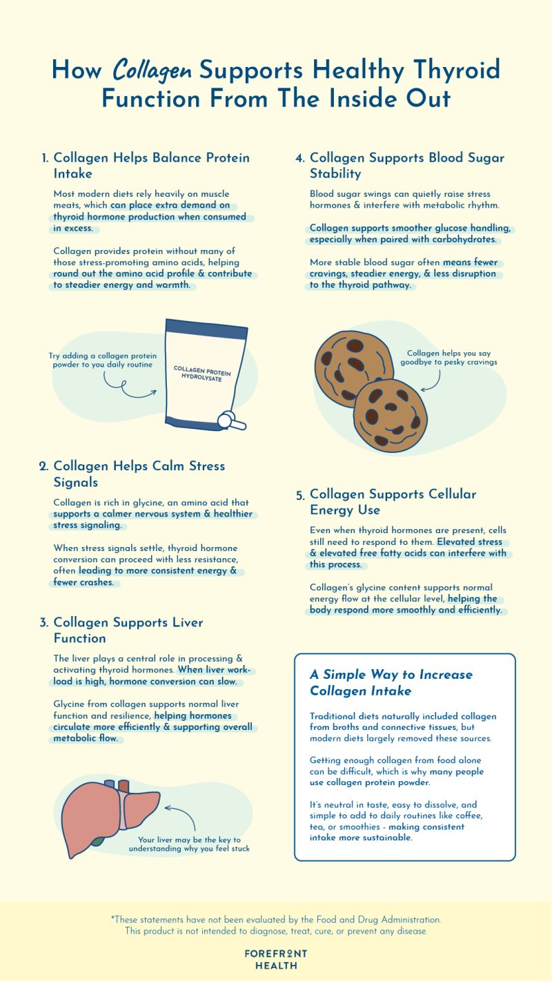 Inforgraphic of 5 ways collagen supports thyroid health