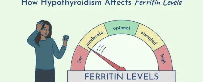 low ferritin thyroid function