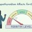 low ferritin thyroid function
