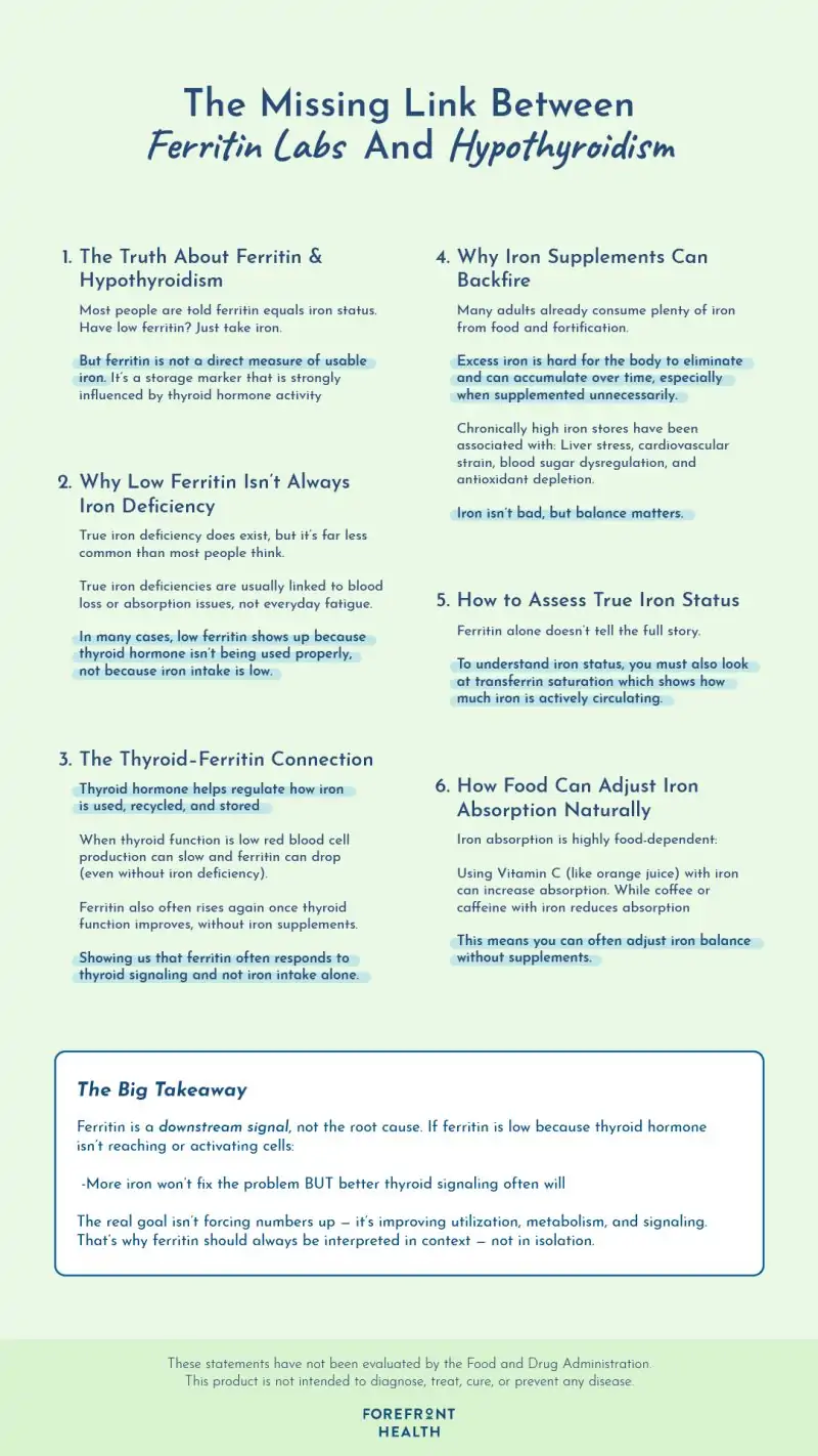 Infographic of low ferritin and thyroid function connection