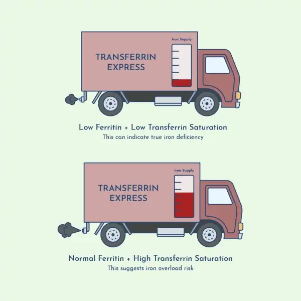 How to interpret ferritin and transferrin test results