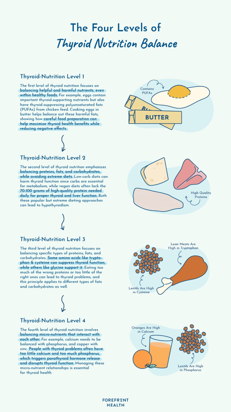 Infographic of 4 levels of thyroid nutrition balance