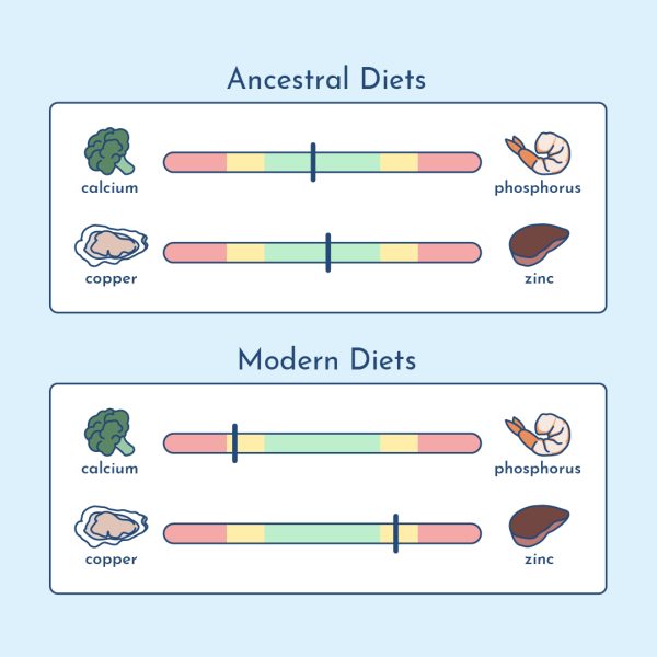modern thyroid diet imbalances