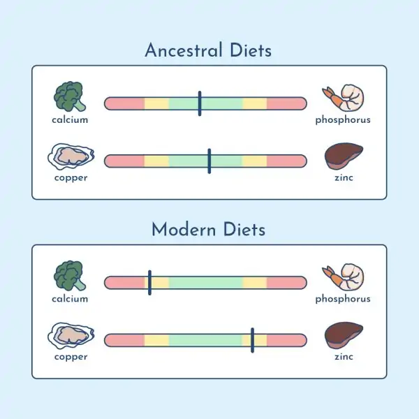 modern thyroid diet imbalances