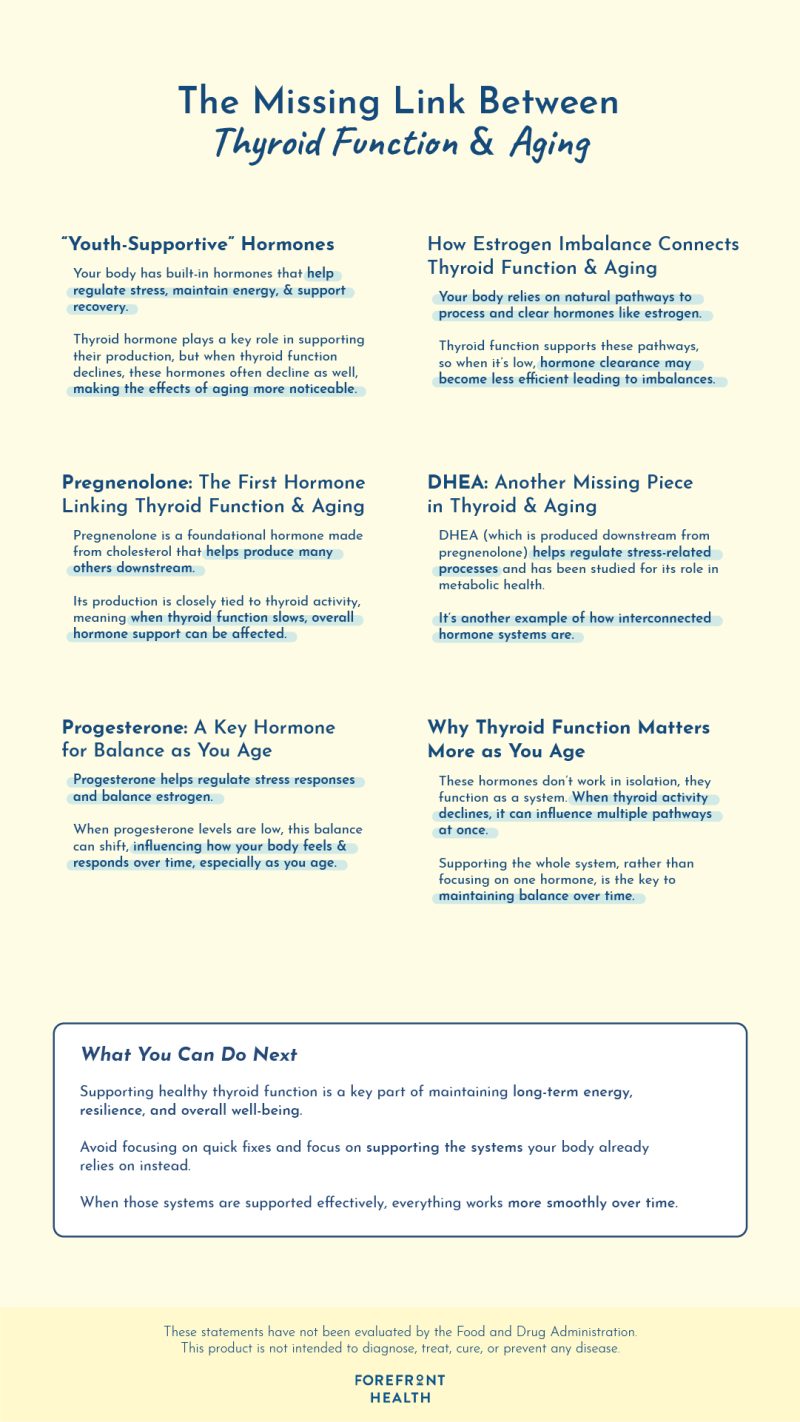 Infographic of connection between thyroid and aging