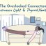 red light therapy thyroid