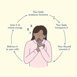 red light therapy for thyroid pathway support