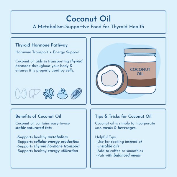 foods for metabolism support: coconut oil