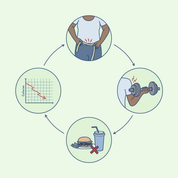 thyroid diet and exercise cycles