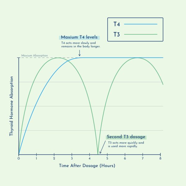 thyroid medication timing