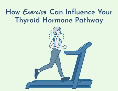 Why “Eat Less and Exercise More” Can Backfire for Your Thyroid Health and Weight Loss
