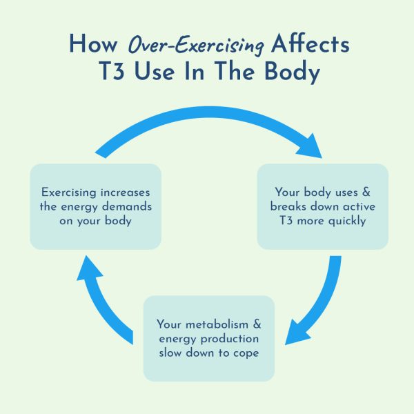 exercise and active thyroid hormone