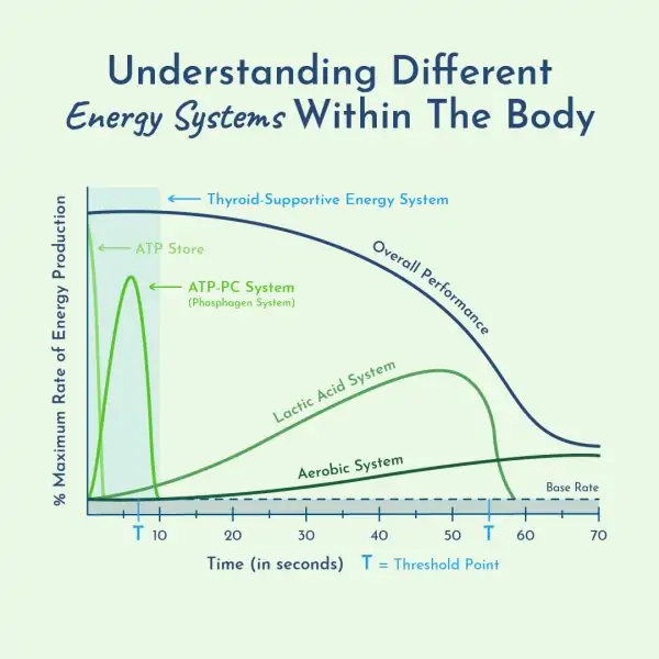 Exercise within the thyroid supportive energy system