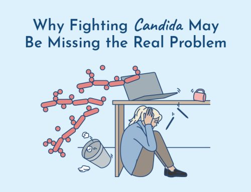 Why Candida Diets May Be Making Your Thyroid (and Candida) Worse