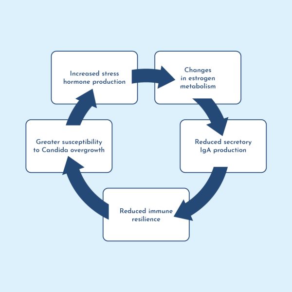 candida overgrowth cycle