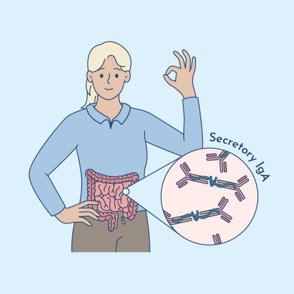 secretory IgA and thyroid health
